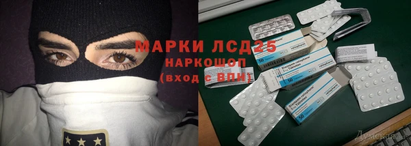 эйфоретик Богданович