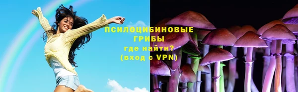 эйфоретик Богданович