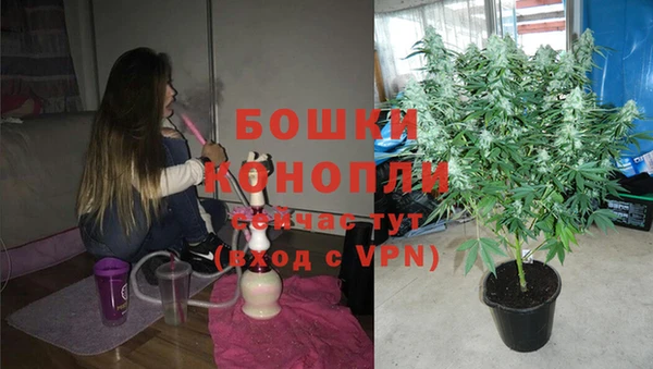 эйфоретик Богданович