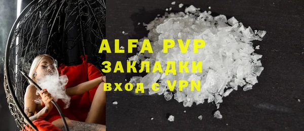 эйфоретик Богданович