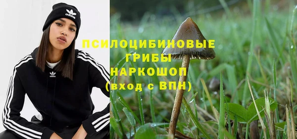 альфа пвп Богородицк