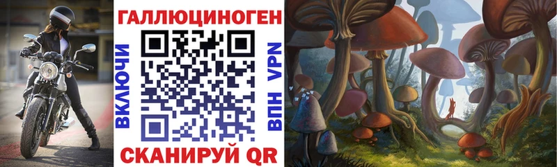 Псилоцибиновые грибы мухоморы  закладки  MEGA ссылки  Кодинск 